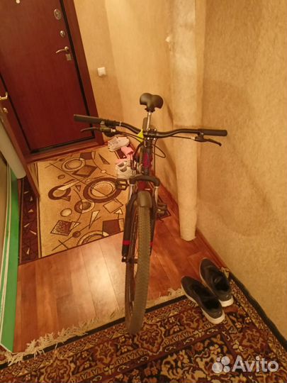 Rush hour nx 675 27.5