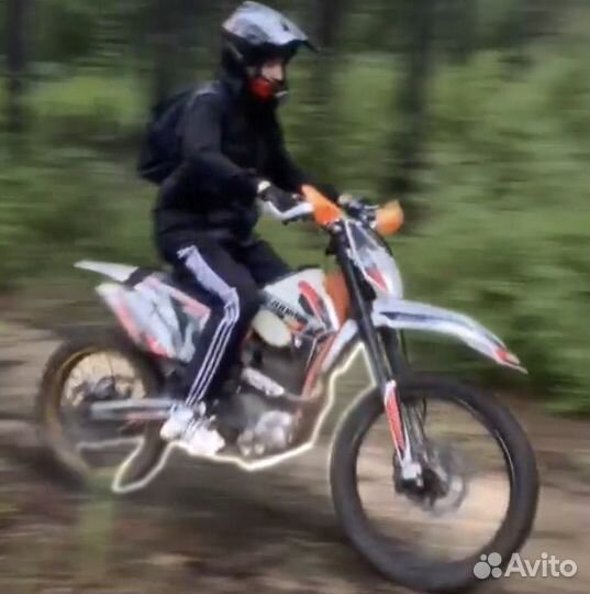 Zuum px 250