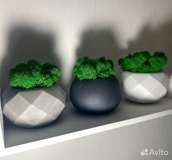 Кашпо со мхом,кашпо из гипса,свечи в гипсовом кашп