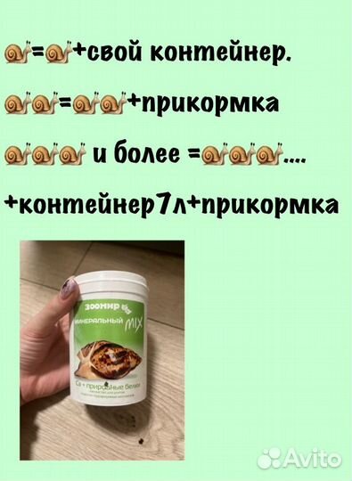 Улитки ахатины бесплатно, в добрые руки