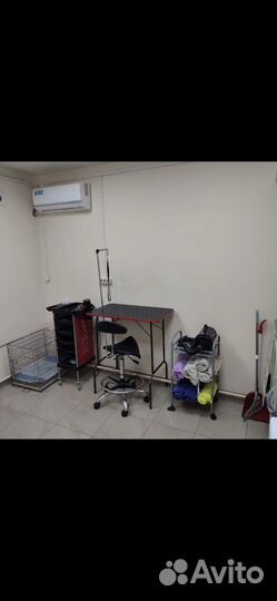 Груминг салон