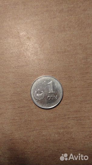 Кыргызский сом
