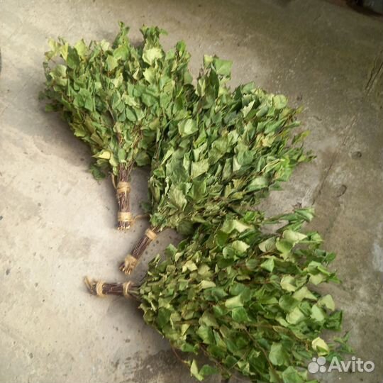 Веники для бани береза