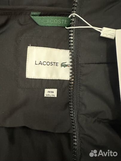 Зимняя куртка lacoste