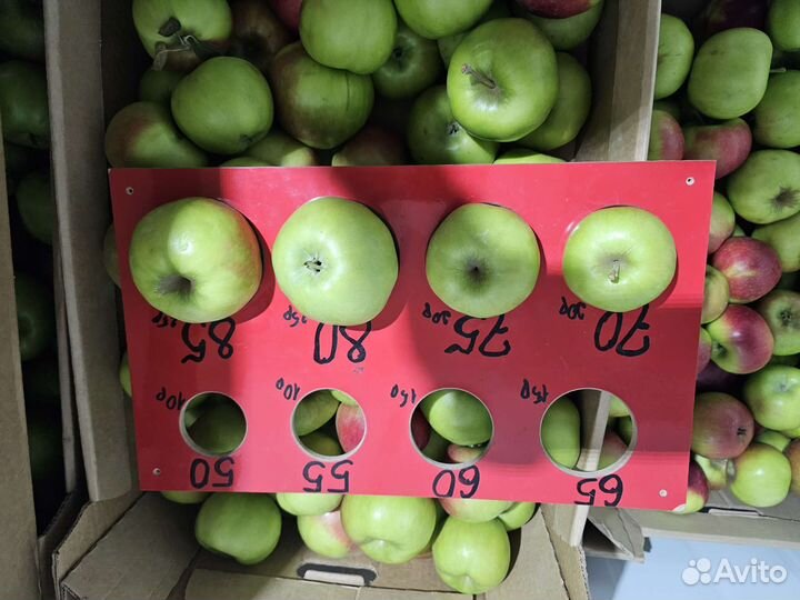 Яблоки