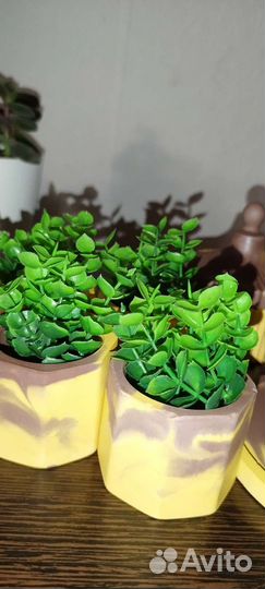 Искусственные растения для декора.Предмет интерьер