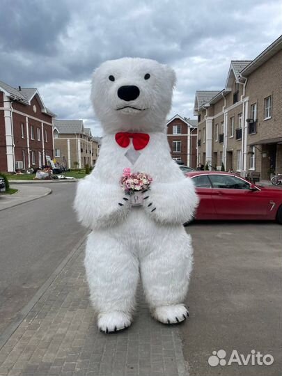 Поздравления от Белого Мишки и Лисёнка