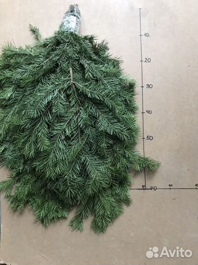 Пихтовые веники, лапник пихтовый, букеты пихтовые