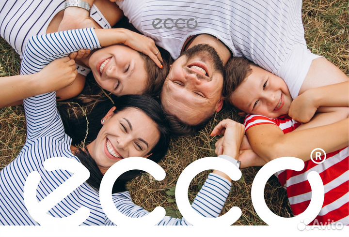 Дизайн сайта