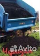 Грунт для голубики садовой, чернозём, земля, почва