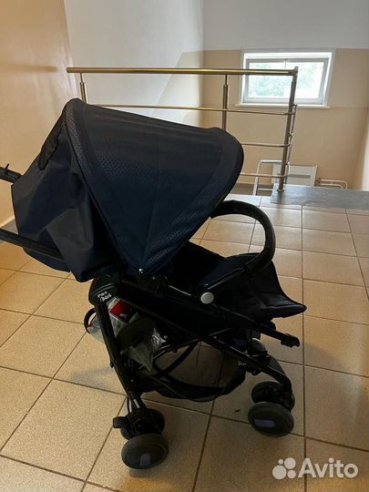 Колсяка прогулочная