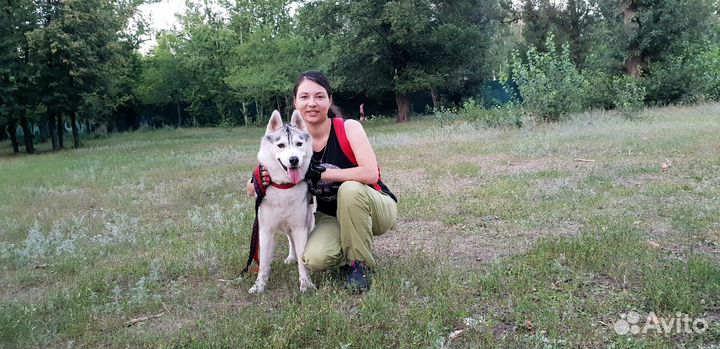 Инструктор по дрессировке