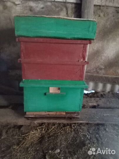 Ульи для пчёл