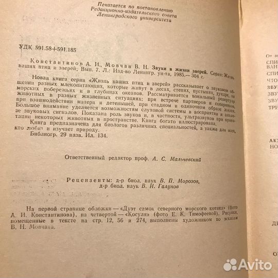 Звуки в жизни зверей