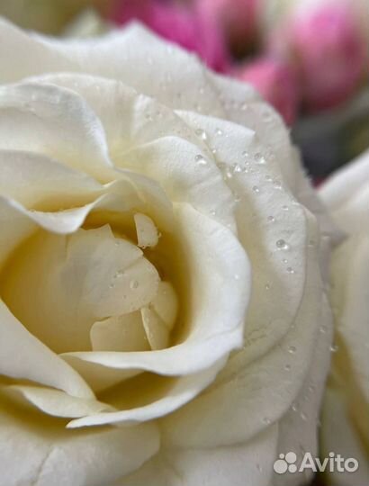 Макро линза 4К