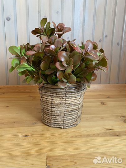 Искусственные цветы в горшках