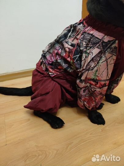 Комбинезон демисезонный для собак