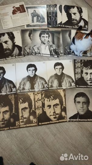 Виниловые пластинки высоцкого