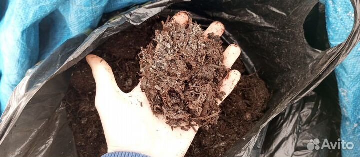 Компост от шампиньонов