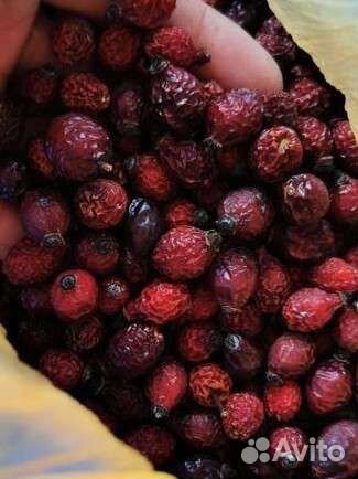 Травы для чая