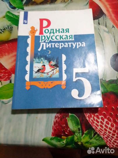 Учебники 5 класс русский язык