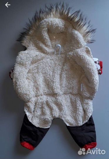 Одежда для собак мелких пород