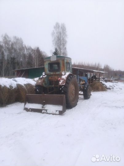 Трактор ЛТЗ Т-40, 1981