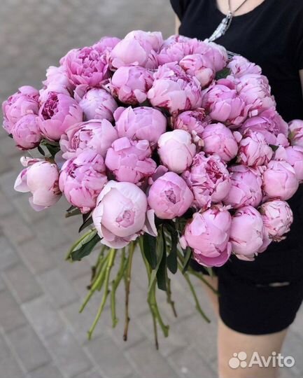 51/101/201/501 Пионы Букеты Цветы Доставка 24/7
