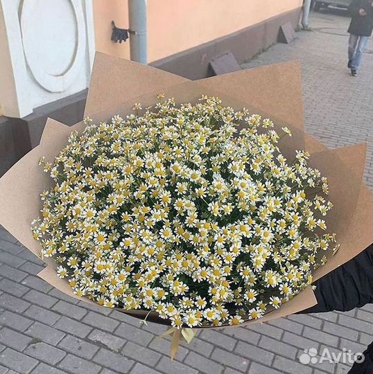 Ромашки Пионы Розы Доставка