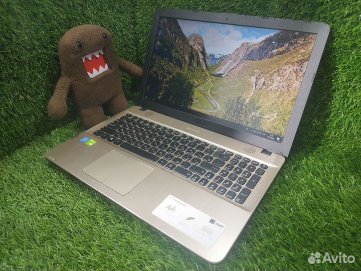 Золотой asus с 1000Gb+810M