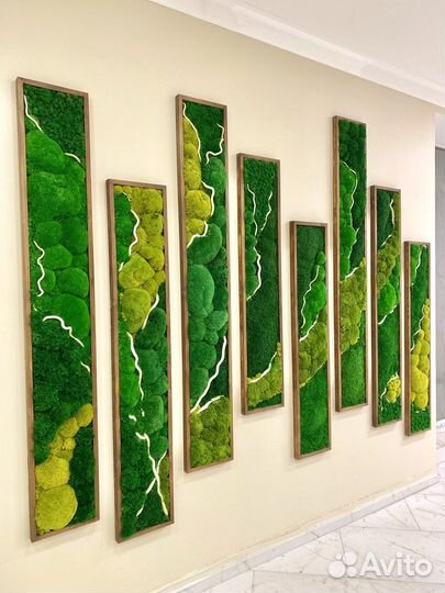 Стабилизированный Мох. Озеленение. Фитостена