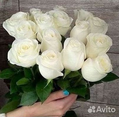 Высокие розы Гигантские Розы 150 160 170 180 190см