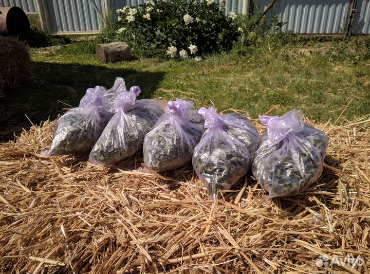 Мята сушеная для чая