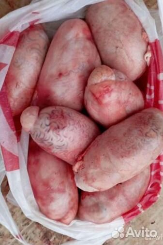 Семенники бычьи. яйца, корни бычьи крупные