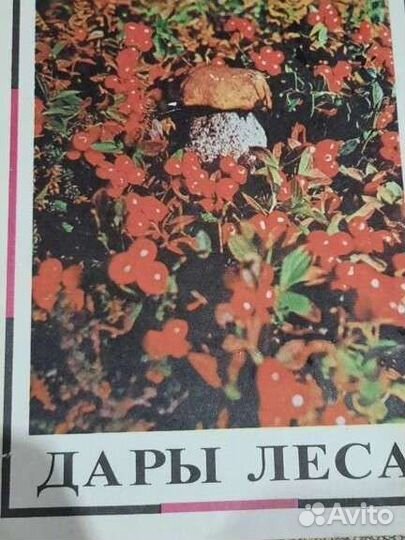 Книги поварские