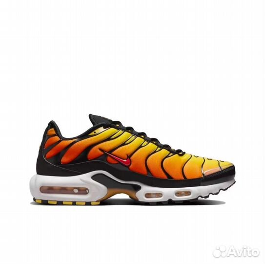 Nike Air max tn plus sunset