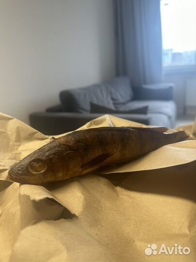 Рыба горячего копчения судак