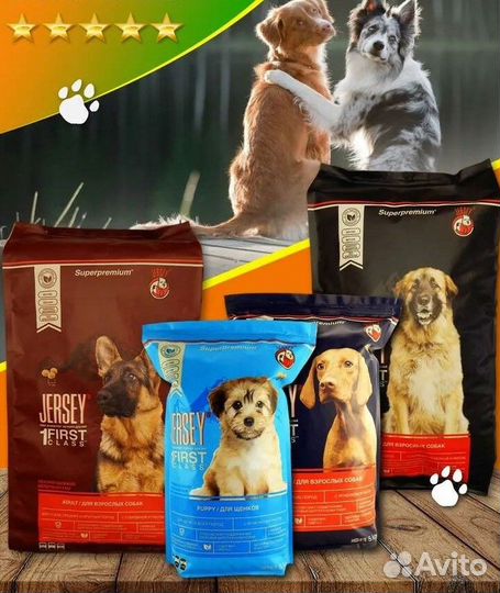 Сухой корм для собак