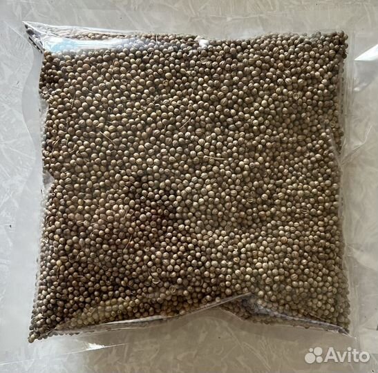 Семена микрозелени Кориандр (Кинза)