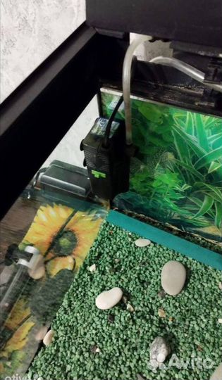 Аквариум для рыб 5 литров со всем содержимым