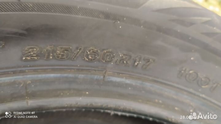 Bridgestone Blizzak Ice 4.00/10 R17 и 4.00/10 R17 100T