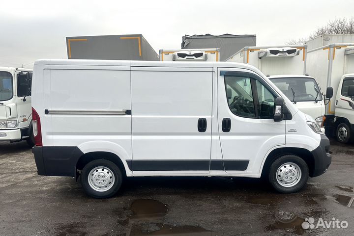 FIAT Ducato цельнометаллический, 2016