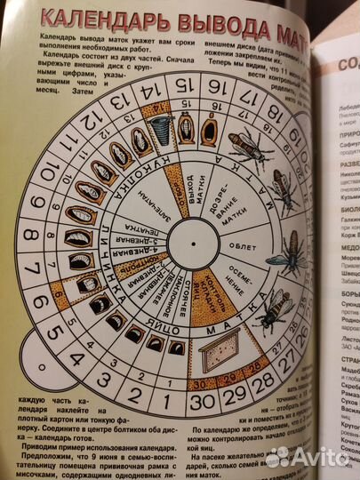 Журнал Пчеловодство