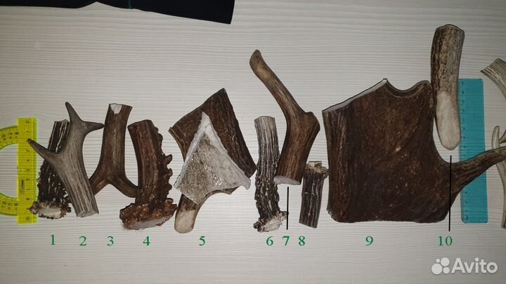 Погрызушки (рога) для собак