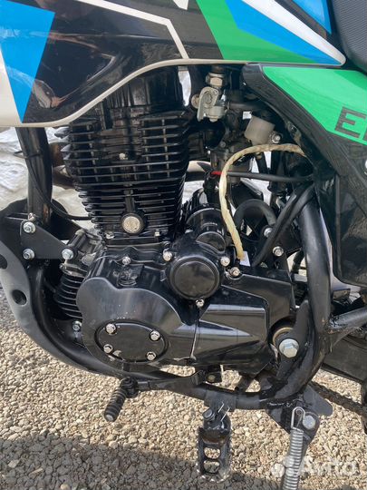 Рейсер Пантер 250