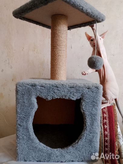 Домик для кошки с когтеточкой