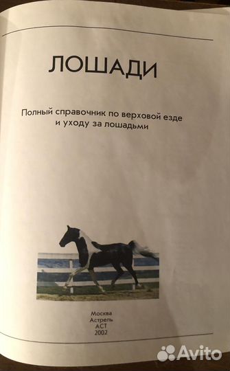 Лошади. Справочник по верховой езде