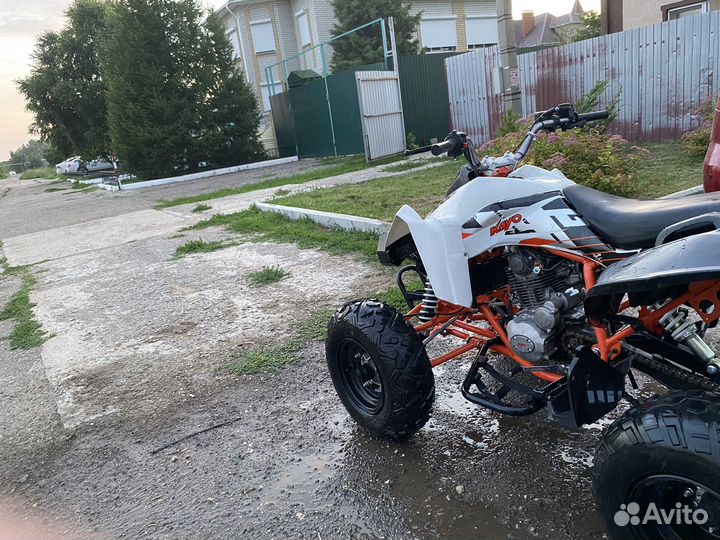 Kayo TOR200