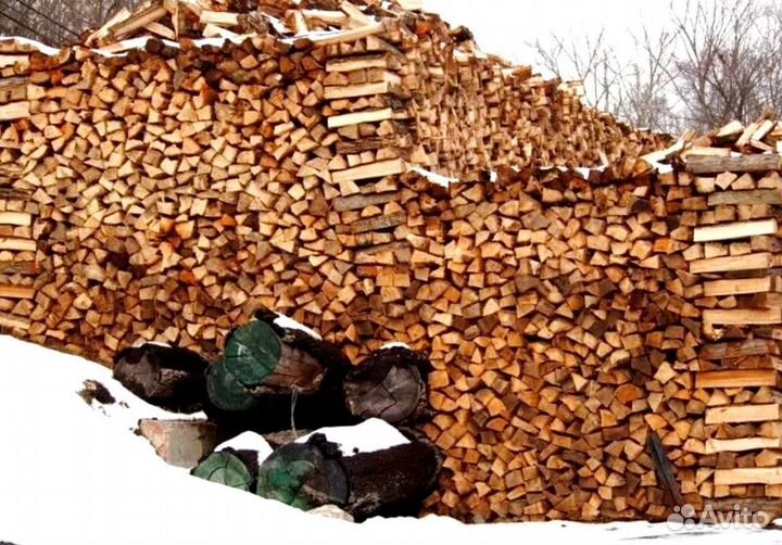 Дрова свежие