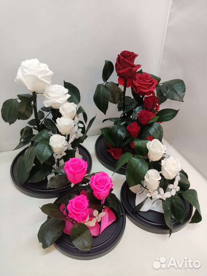 Розы оптом